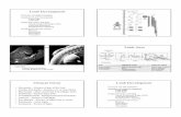 13 Limb Development shortened - Tulane Universityembryo/Lectures/Handouts/13 Limb Development.pdf · Transient embryonic structure ... Development of Limb Tissues Skeleton ... Microsoft