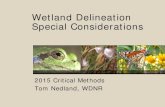 Wetland Delineation Special Considerationsdnr.wi.gov/.../WetlandDelineationSpecialConsiderations2015.pdf · 3/4/2015 · Wetland Delineation Special Considerations. ... Follow guidelines