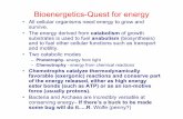 Bioenergetics-Quest for energy - Marine Biological … … ·  · 2013-07-12EMP pathway Now easier to cleave -ATP -ATP +2ATP ... • In aerobes and some anaerobic respirers, the