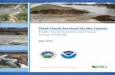 Flash Flood Services for the Future - National … Flood Services for the Future: Flash Flood Summit and Focus Group Findings v and group brainstorming of all potential needs, the