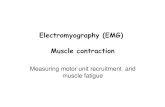 Electromyography (EMG) Muscle contraction - ELTE …physiology.elte.hu/gyakorlat/angol/EMG_introduction and... ·  · 2011-10-04Electromyography (EMG) Muscle contraction Measuring
