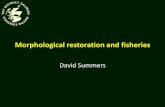 Morphological restoration and fisheries · Morphological restoration and fisheries David Summers. Background •Long been interested in channelised streams in E. Scotland. ... FFAG