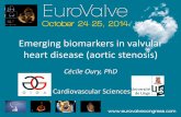 Emerging biomarkers in valvular heart disease (aortic ...eurovalvecongress.com/archivesite/www/2014/pdf/congres-2014/25-oct... · Emerging biomarkers in valvular heart disease (aortic