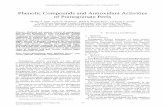 Phenolic Compounds and Antioxidant Activities of ... · Phenolic Compounds and Antioxidant Activities of Pomegranate Peels . Shafika A. Zaki1, Somia H. Abdelatif 2, Nehal R. Abdelmohsen
