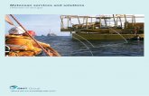 Metocean services and solutions - BMT Group | A leading ... metocean brochure.pdfMetocean statistics and data BMT’s extensive metocean databases based on over 25-years of hindcast