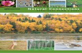 Natural Connections Strategic Plan - Edmonton · City of Edmonton Integrated Natural Areas Conservation Plan u2 Natural Connections The Office of Natural Areas would like to thank