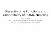 Dissecting the functions and presynaptic partners of … the Functions and Connectivity of POMC Neurons Minmin Luo National Institute of Biological Sciences, Beijing Tsinghua University