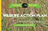 Wildlife Action PLan - Michigan 1 MICHIGAN. 2015 - 2025. Approach, Methods & Survey Needs. Wildlife Action PLan. Today’s Priorities, Tomorrow’s Wildlife