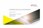 CHEMICALS from BIOMASS - Gasification · CHEMICALS from BIOMASS ... from syngas –But may also include H2 and CO2. GAS COMPOSITION fluidized bed ... CO2 removal S removal HDS Pre