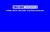 THE BIG BLUE CATALOGUE - R & E Auto Parts Big Blue Catalogue.pdf · THE BIG BLUE CATALOGUE. ... HYDRAULIC BEARING PULLER SET BPSK ... • Hand operated pump for efficient removal