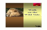 Walk on the Wild Side. - SANBOPCAWS NPO #009768birdsofprey.weebly.com/.../1/9/7/1/1971509/walk_on_the_wildside.pdf4 Walk on the Wild Side People remember : 10% of what they read 15%