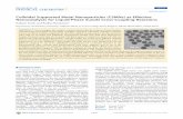 Colloidal Supported Metal Nanoparticles (CSMNs) as ...energetics.chm.uri.edu/system/files/Kalyani--2.pdf · Colloidal Supported Metal Nanoparticles (CSMNs) as Effective Nanocatalysts
