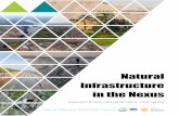 Natural Infrastructure in the Nexus · Natural Infrastructure in the Nexus 1 Since 2012, the International Union for Conservation of Nature (IUCN) and the International Water Association