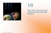 The Nervous System: General and Special Sensescherylchowbiology.weebly.com/.../24._senosry_system.pdfThe Nervous System: General and Special Senses © 2012 Pearson Education, Inc.