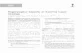 Regenerative Aspects of Excimer Laser Ablation - Aspects of Excimer Laser Ablation ... Regenerative aspects of excimer laser ablation 381 ... between cytolysis and cellular regeneration,