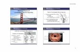 Management of Laryngeal Nerve Injuries · Management of Laryngeal Nerve Injuries Mark S. Courey, M.D. Professor, ... Endoscopy Endoscopy –– Bilateral SLN Injury Bilateral SLN