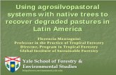 Florencia Montagnini Professor in the Practice of Tropical ...elti.fesprojects.net/2010PanamaPresentations/F.Montagnini.pdf · comparable to teak in Panama. ... Nitrogen in 15-16