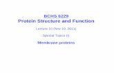 BCHS 6229 Protein Structure and notes/BCHS6229-10-11-note.pdfBCHS 6229 Protein Structure and Function Lecture 10 ... allowing or assisting some solutes to cross membrane (transport