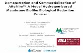 Demonstration and Commercialization of ARoNite™, A …ca-nv-awwa.org/canv/downloads/sessions/20/Session20_0800_Friese... · Membrane Biofilm Biological Reduction Process ... A growing