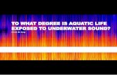 TO WHAT DEGREE IS AQUATIC LIFE EXPOSED TO UNDERWATER SOUND? · 6 To what degree is aquatic life exposed to underwater sound? ... Principles and application of underwater sound Junger