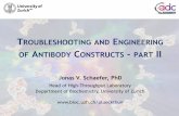 ROUBLESHOOTING AND ENGINEERING - UZH · -H2 CDR-H3 V H 3 - most stable V H ... eukaryotic chaperons and quality control systems equalize the expression ... prokaryotic expression
