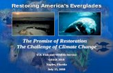 The Promise of Restoration The Challenge of Climate Change · The Promise of Restoration The Challenge of Climate Change ... Outline of Presentation I. Climate Change and the Everglades