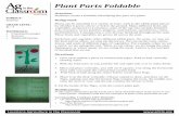 Plant Parts Foldable - SquarespaceParts+Foldable.pdf · Science GRADE LEVEL: K—7 MATERIALS: ... To the upper elementary grade levels, ... Plant Parts Foldable