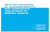 NEW MECHANISMS OF ACCOUNTABILITY FOR CORPORATE VIOLATIONS ... · New Mechanisms of Accountability for Corporate Violations of ... 2 - New Mechanisms of Accountability for Corporate