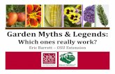 Garden Myths & Legends - Home | South Centers€¢ Does it keep cats away? Plant a penny or nail… • Penny with your hydrangea –Could be as copper breaks down Cu++ would grab