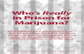 Drug legalizers want you to believe a lie— that our ...€™s Really in Prison for Marijuana? Drug legalizers want you to believe a lie— that our prisons are filled with marijuana