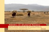 REDD+ in dryland forests - International Institute for …pubs.iied.org/pdfs/17506IIED.pdf ·  · 2015-07-24REDD+ in dryland forests Issues and prospects for pro-poor REDD in the