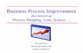 also known as Process Mapping, Lean, Kaizen….. PDCA, DMAIC, Lean, 5S…. Process Maps, Histograms, Pareto Charts, Data Collection, Cause & Effect Analysis, Decision Models, Statistical