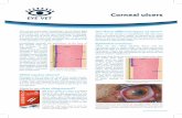 Corneal ulcers - Made by Magnitude€¦ · Corneal ulcers The cornea is the clear ‘windscreen’ which allows light to enter the eye. ... the stroma and the inner endothelium. If