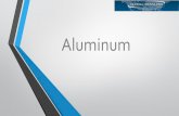 Aluminum - BigBlock Studios · Representative products : industrial aluminum extrusion products, fabrication, aluminum rolling material ... extrusions and recycling, Hindalco