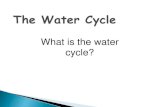 What is the water cycle? - Science with Smet · Transpiration - plants giving off water vapor into the atmosphere. Evaporation –liquid water changing into water vapor