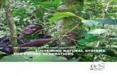 Sustaining natural systems for future generations - BfN: … ·  · 2012-09-06SUSTAINING NATURAL SYSTEMS FOR FUTURE GENERATIONS. ... species and ecosystems caused by human activities