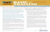 BASIC PARLIAMENTARY PROCESS, TRAINING - House … · Parliamentary BOOt camp PARLIAMENTARY PROCESS, BASIC FACTS, AND STRATEGIES TRAINING The Committee on Rules & Special ... CONSIDERATION