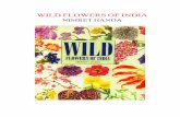 WILD FLOWERS OF INDIA - gyanpedia.in from Trash/Resources/books... · Wild flowers are to be found in all kinds of unexpected places if you know how ... to wider and wilder ... the