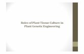 Rolesof Plant Tissue Culture in Plant Genetic Engineeringretnomastutibiologi.lecture.ub.ac.id/files/2015/12/Peran-KJ-dalam... · Rolesof Plant Tissue Culture in Plant Genetic Engineering.