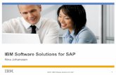 IBM Software Solutions for SAP - IBM - United States€¦ ·  · 2013-05-31IBM Software helps to Run, Manage, Extend SAP ISICC, IBM Software Solutions for SAP 2 Enable Business Innovation