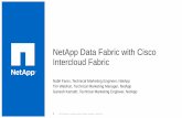 NetApp Data Fabric with Cisco Intercloud Data Fabric with Cisco Intercloud Fabric Nabil Fares, Technical Marketing Engineer, NetApp Tim Waldron, Technical Marketing Manager, NetApp