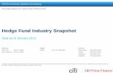Hedge Fund Industry Snapshot - Citibank · Hedge Fund Industry Snapshot Data as of January 2013 ... Across the entire subset of reporting ... other contracts chopped about over the