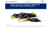 MOLOVAN TABLE GRAPE VALUE CHAIN STUDY - …mca.gov.md/upload/documents/0521121337609457ACED Table...5.1 Table Grape Value Chain Constraints..... 48 CHAPTER VI ANNEXES .....54 Annex