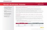 Small Business Assets Exclusively for IXI - equifax.com · IXI Services’ direct measurement of ~$2 Trillion in anonymous small business assets gathered from IXI Network ... Small