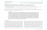 Research Paper Isolation and Identification of miRNAs in ...free-journal.umm.ac.id/files/file/Isolation and Identification of... · Isolation and Identification of miRNAs in Jatropha