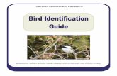 ONTARIO ENVIROTHON PRESENTS · ONTARIO ENVIROTHON PRESENTS (McLeod, 2008) PRODUCED BY: JESSICA D ANARD, D ENISE D ERRICK, A NGELA G ... birds habitat and niche, ...