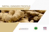 Cover Nepal Ginger Profile - Samarth-NMDPsamarth-nepal.com/sites/default/files/resources/Nepal Ginger...Although farmers have keen interest on ginger cultivation, they are facing several