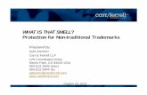 WHAT IS THAT SMELL Protection for Non-traditional Trademarks · WHAT IS THAT SMELL? Protection for Non-traditional Trademarks ... q Acquired Distinctiveness ... n Example: q The mark