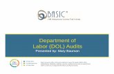 Department of Labor (DOL) Audits - BASIC | (800) 444 ‐1922 7 DOL Benefit Audits • The DOL bases its audit criteria on guidance developed from its Employee Benefits Security