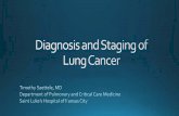 Systematic Diagnosis and Staging of Non-Small Cell Lung Cancer · Jamal. CA Cancer J Clin 2011. Lewis. SEER Cancer Statistics Review, 1975 -2008. 2010.